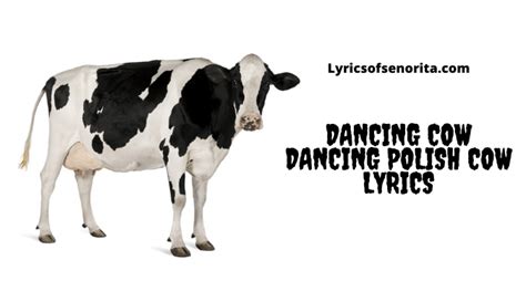 polish cow lyrics|polish cow lyrics translation.